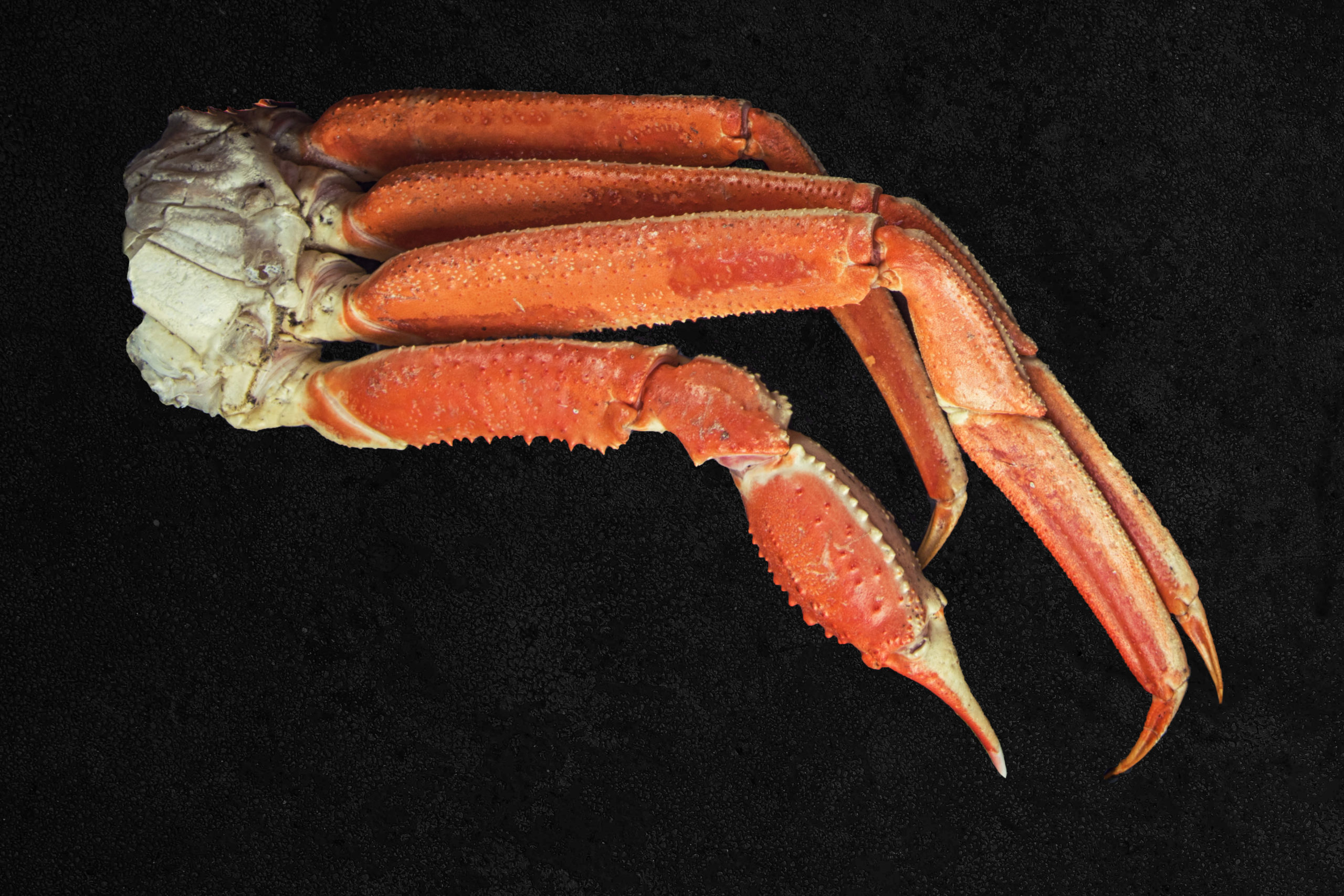 section de crabe royal cuite