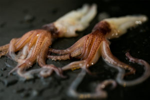 raw squid tentacle