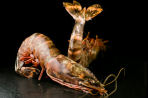 wild raw head-on shell-on shrimp