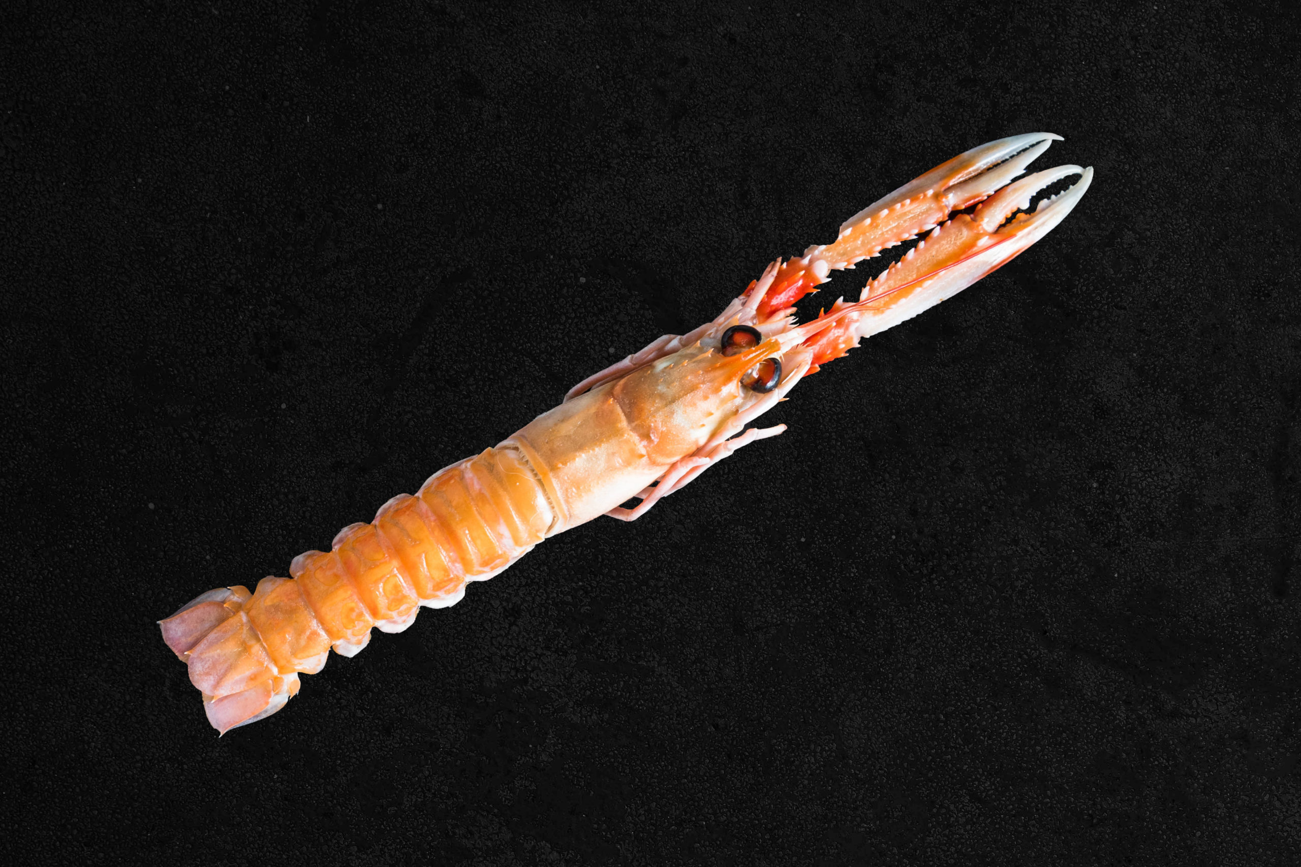 raw whole scampi