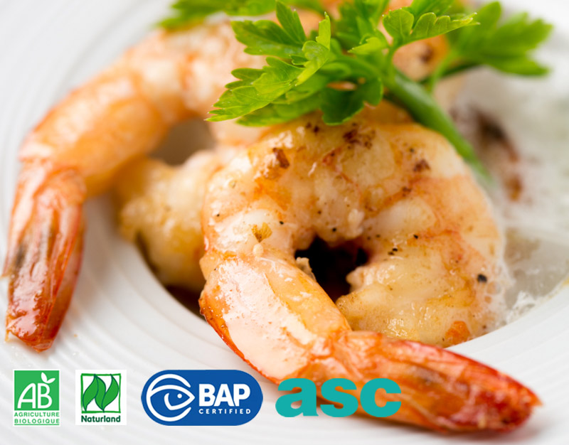 01_crevette_PTO_crue_mise_en_oeuvre_logos