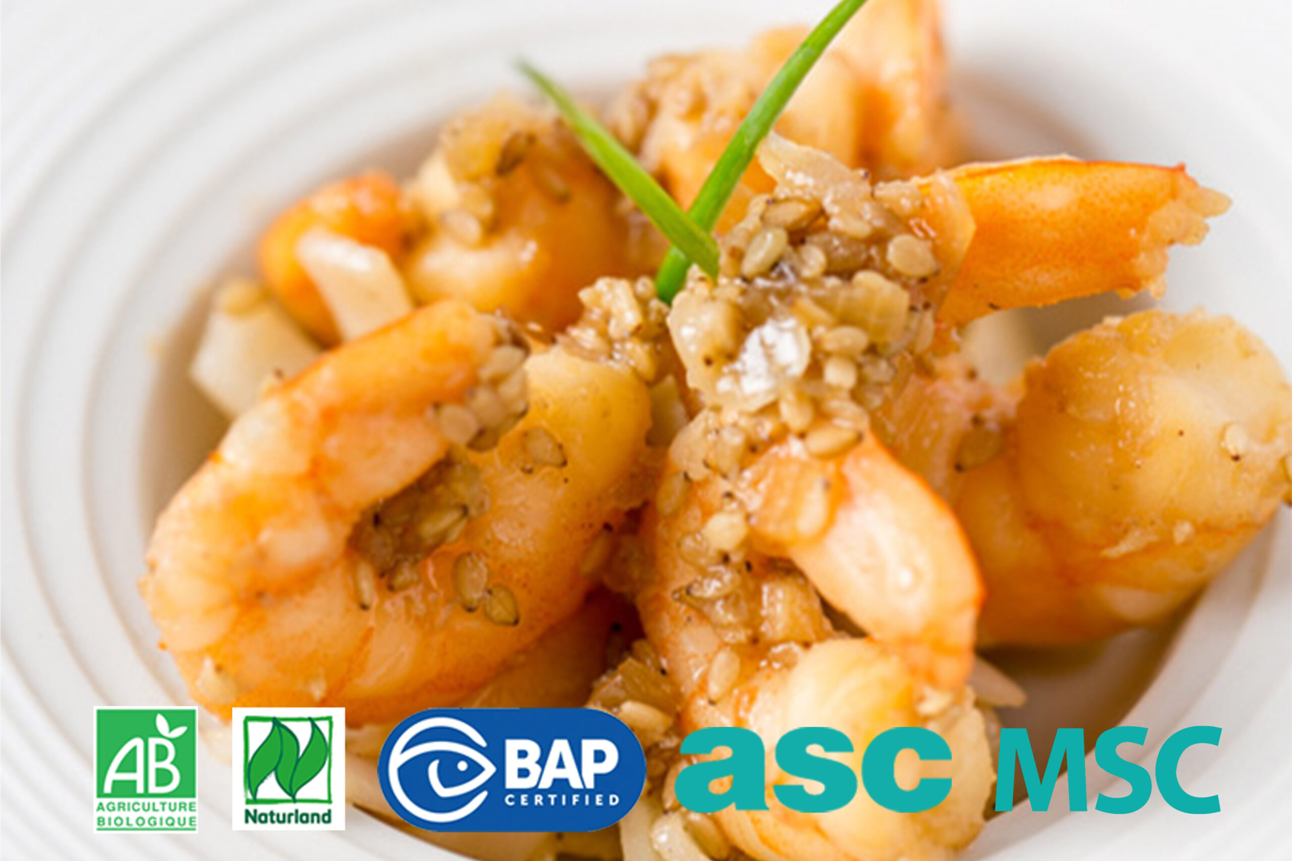 crevette cuite mise en oeuvre