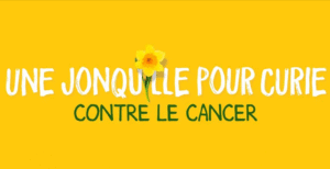 jonquille contre le cancer